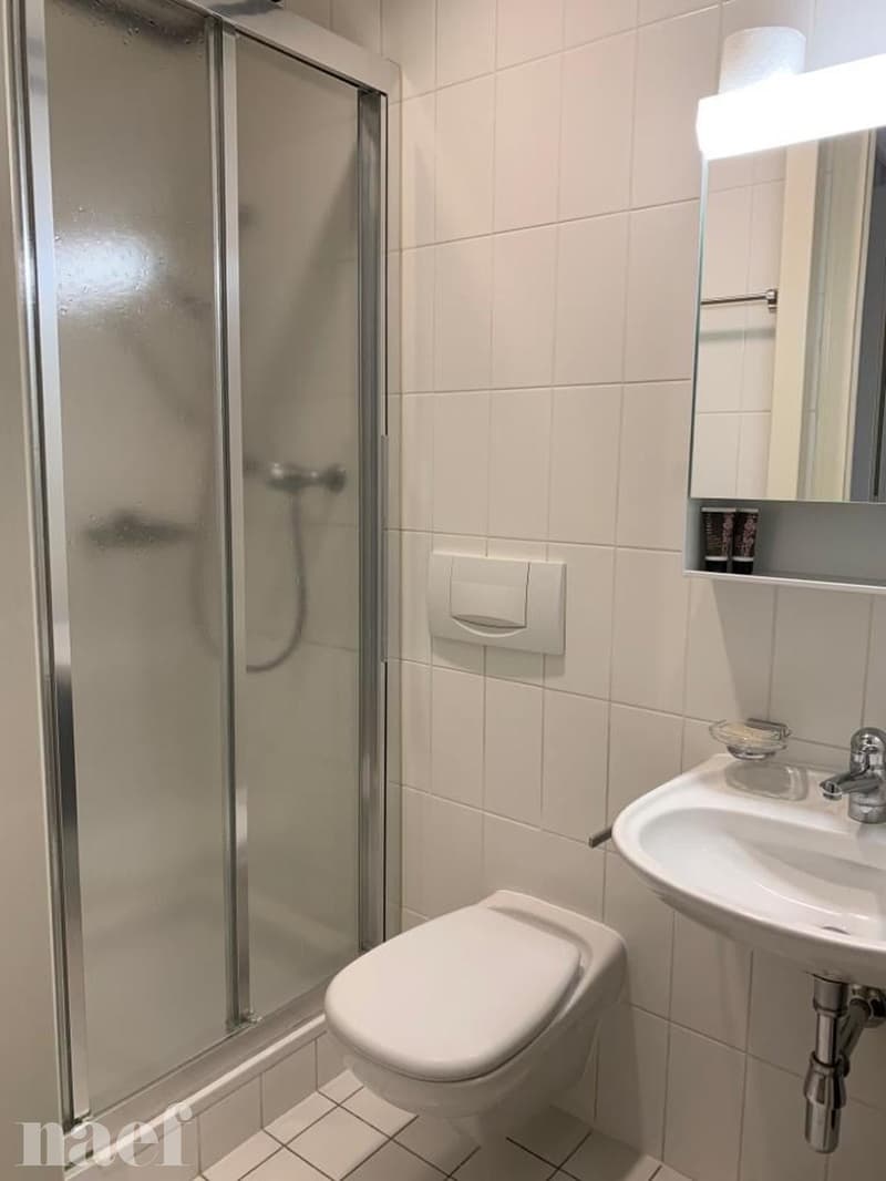 Appartement de 6 pièces au 2ème étage à Champel (7)