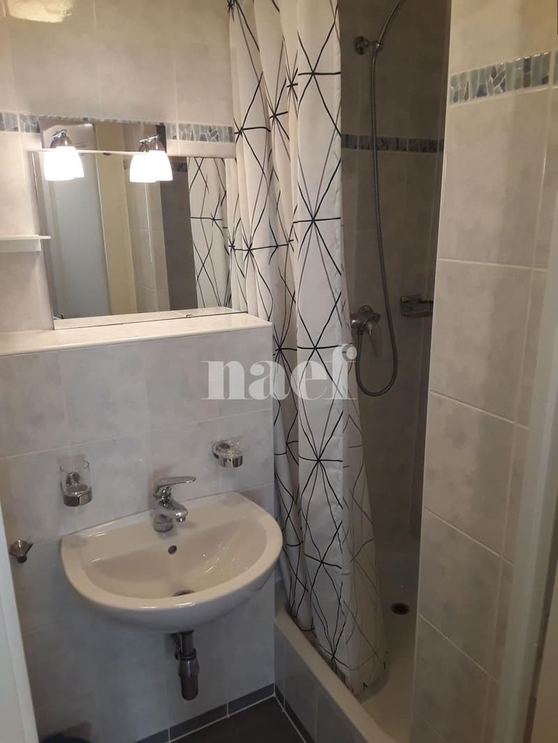 Appartement de 1.5 pièce situé au coeur de la Vieille Ville de Genève (5)