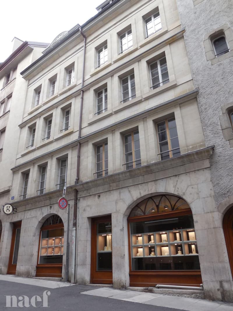 Appartement de 1.5 pièce situé au coeur de la Vieille Ville de Genève (1)