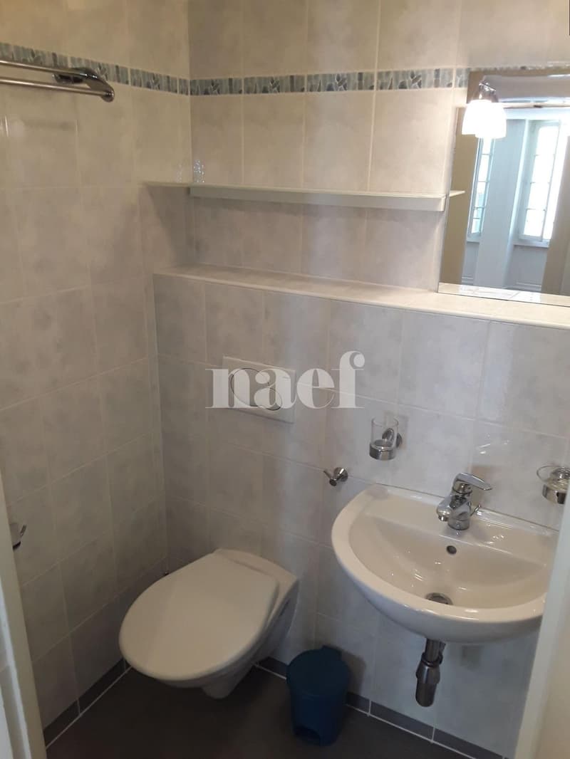 Appartement de 1.5 pièce situé au coeur de la Vieille Ville de Genève (4)