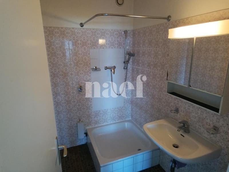 Grand appartement avec deux balcons ! (9)
