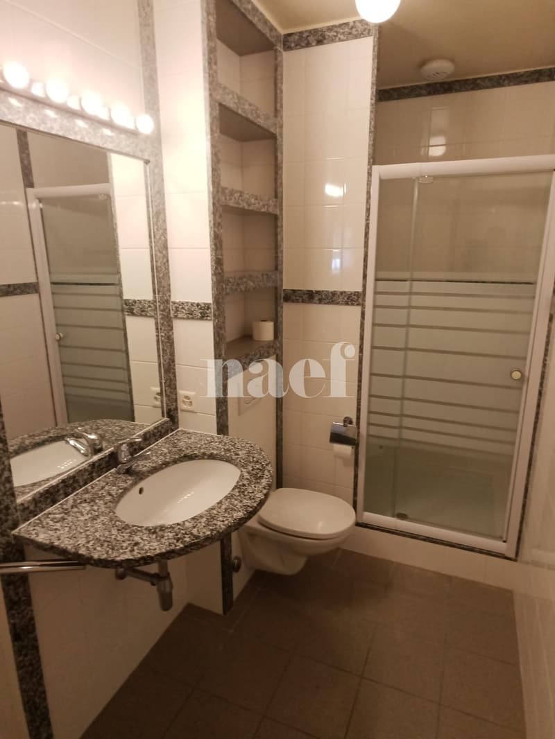 Appartement 2 pièces au rez-de-chaussée (6)