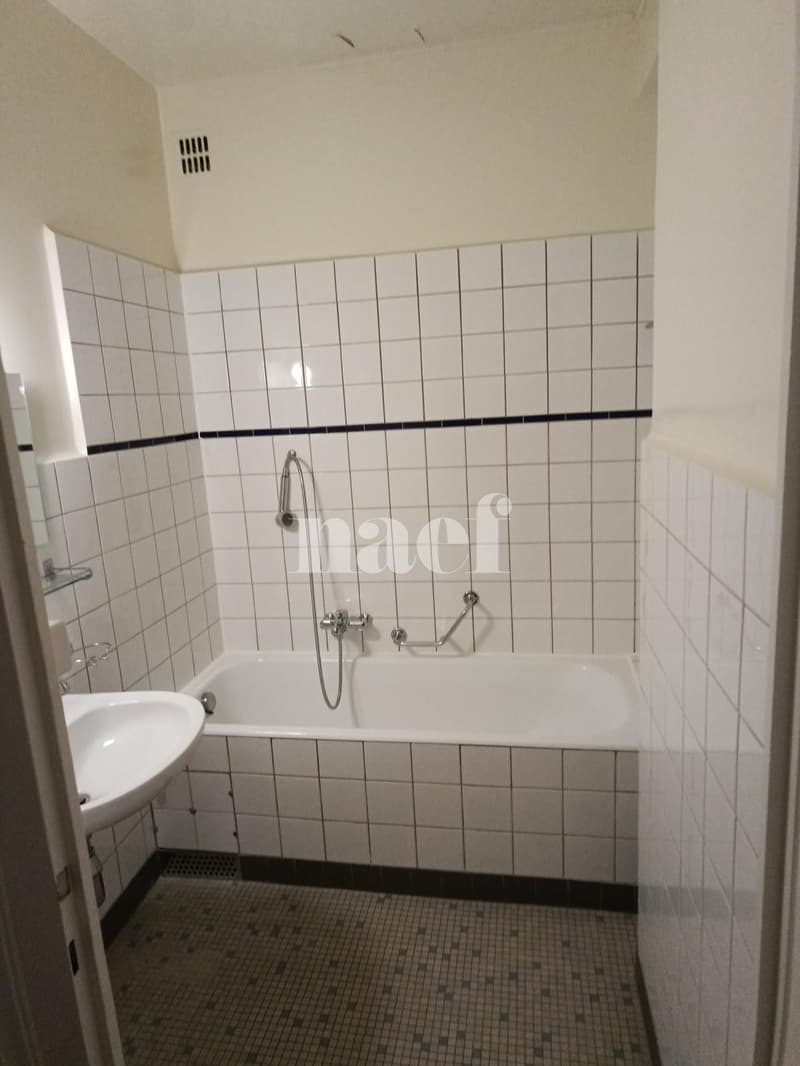 Spacieux 3 pièces avec balcon à saisir proche du lac ! (6)