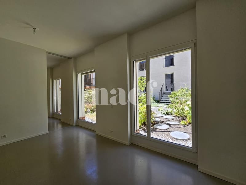Arcade de 60 m², village historique de Chêne-Bougeries (5)