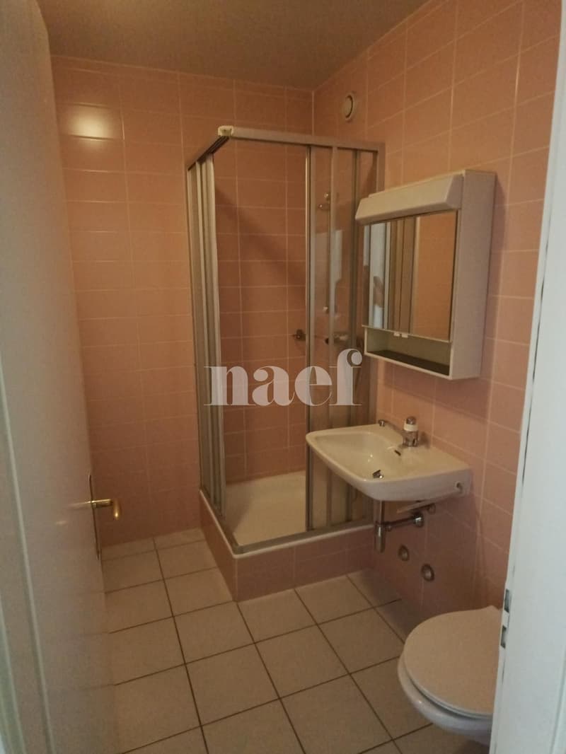 Appartement 5 pièces avec grand balcon à Carouge (8)