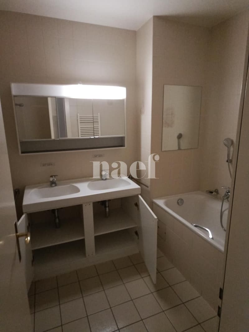 Appartement 5 pièces avec grand balcon à Carouge (7)