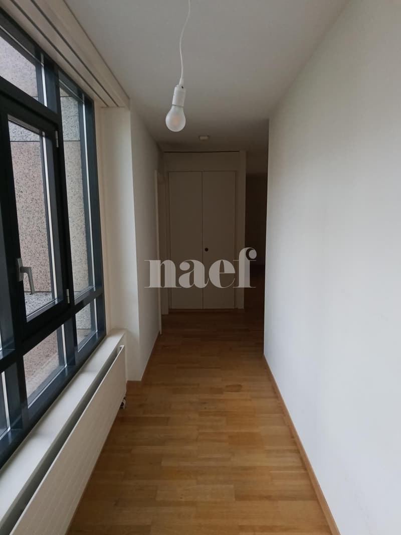 Appartement 5 pièces avec grand balcon à Carouge (2)