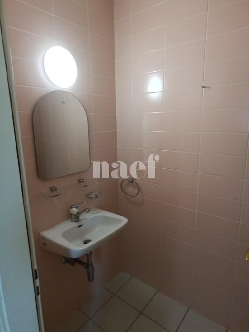 Appartement 5 pièces avec grand balcon à Carouge (9)