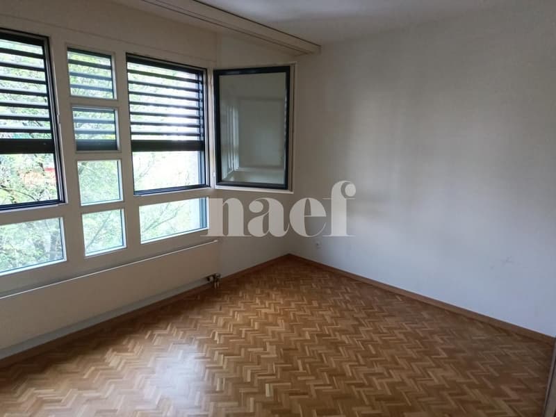 Appartement 5 pièces avec grand balcon à Carouge (6)