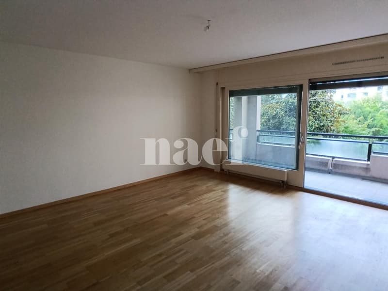 Appartement 5 pièces avec grand balcon à Carouge (4)