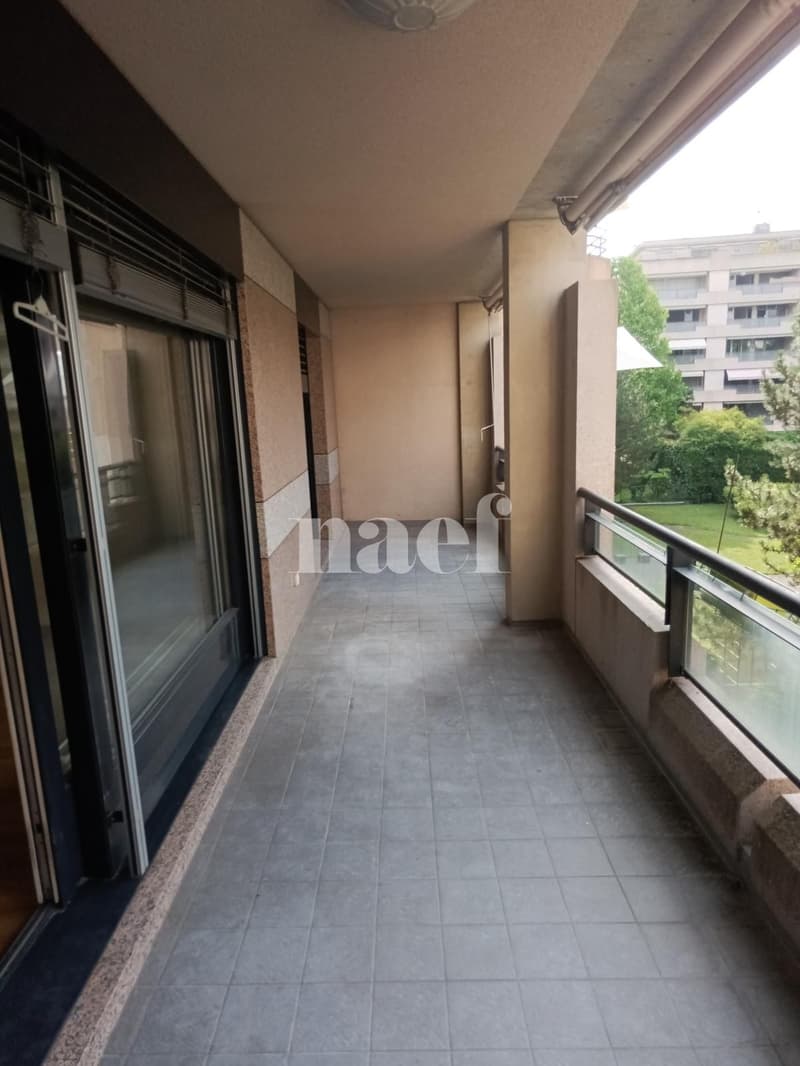 Appartement 5 pièces avec grand balcon à Carouge (10)