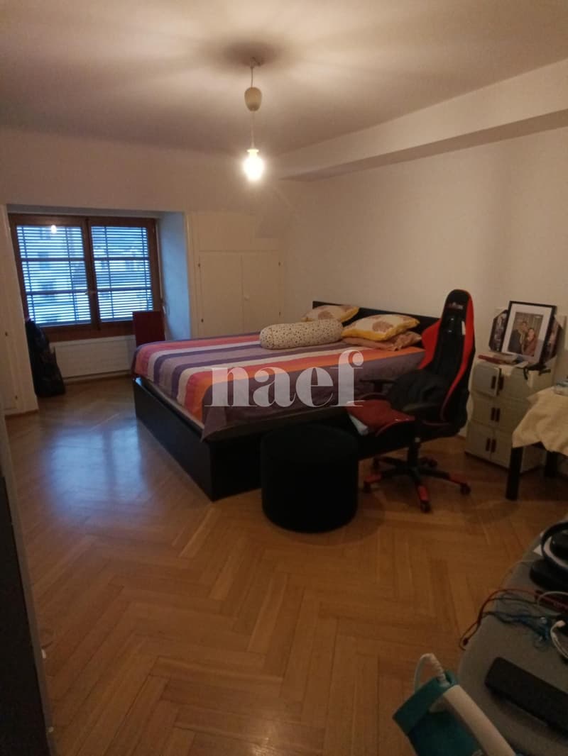 Appartement de 5 pièces à 5 minutes à pied de la gare (3)
