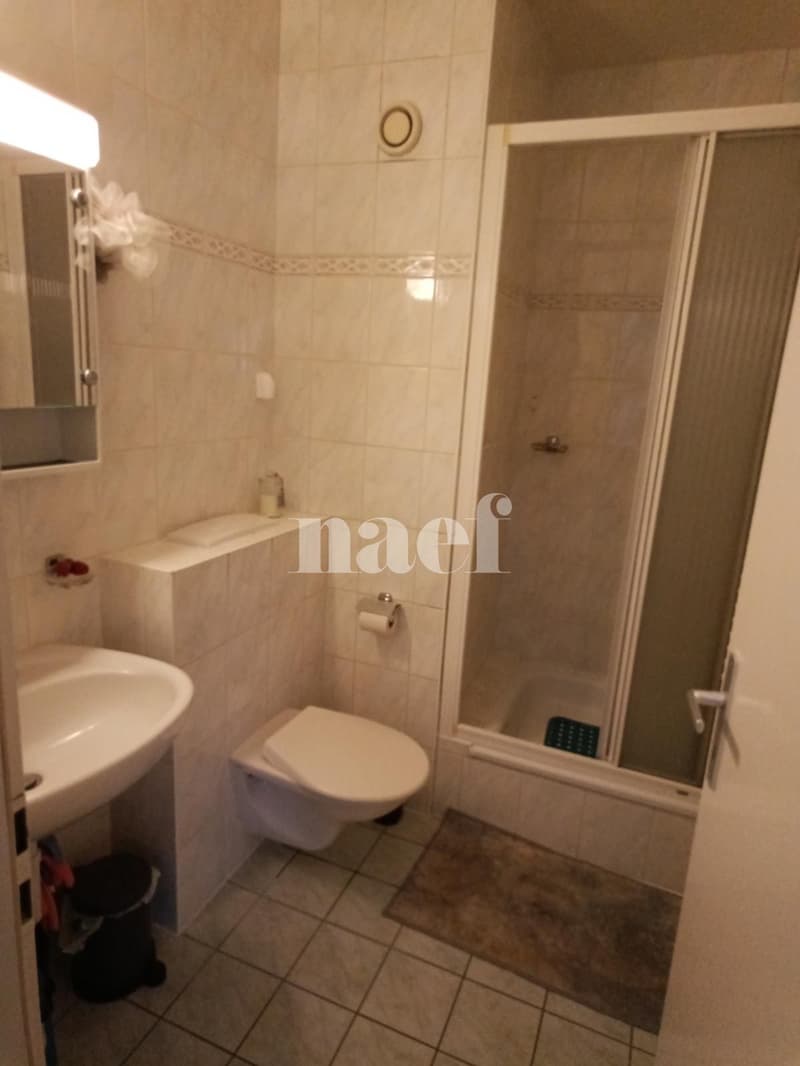 Appartement de 5 pièces à 5 minutes à pied de la gare (6)