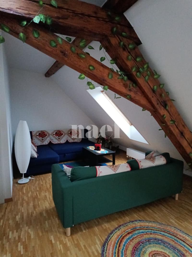 Appartement de 5 pièces à 5 minutes à pied de la gare (2)