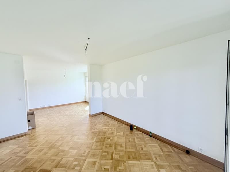 Appartement au cur de la Perle du Lac (4)