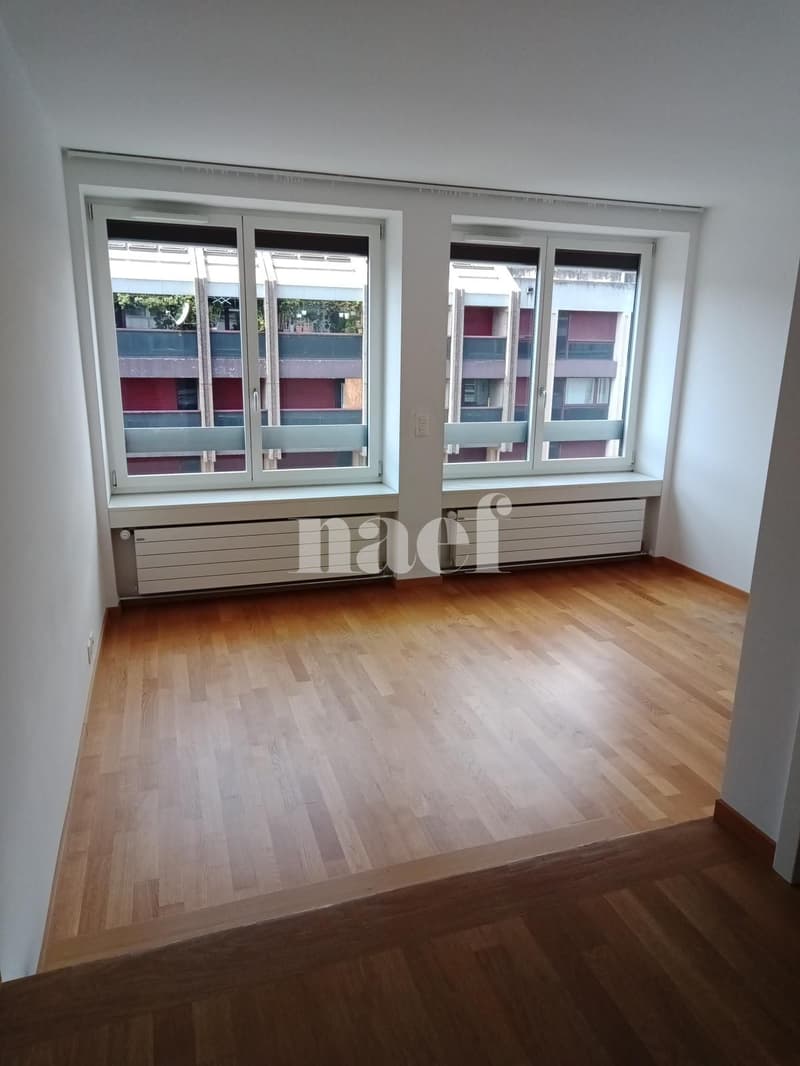 Duplex de 3 pièces près de la gare de Genève (5)