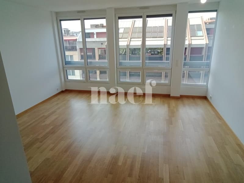 Duplex de 3 pièces près de la gare de Genève (2)