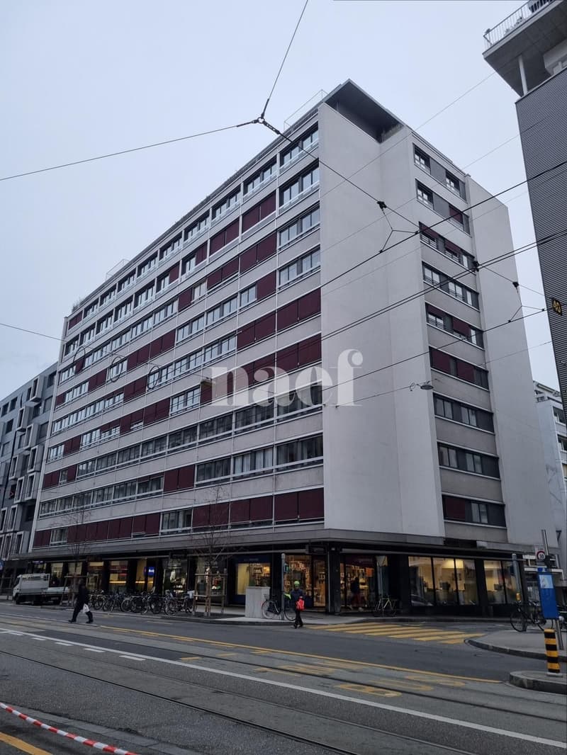 Duplex de 3 pièces près de la gare de Genève (1)