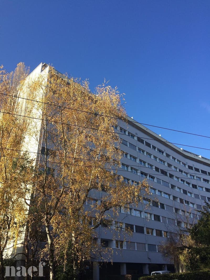 Grand appartement avec balcon ! (1)