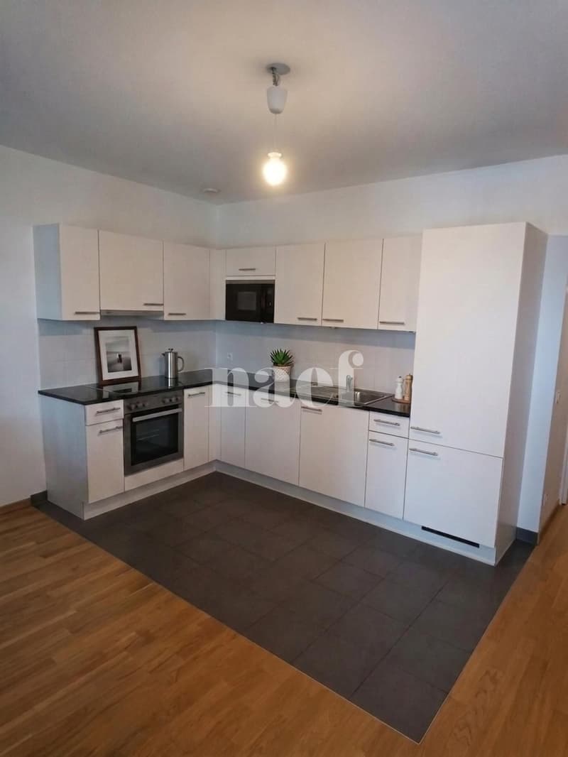 Appartement de 4.5 pièces au coeur de Genève (3)