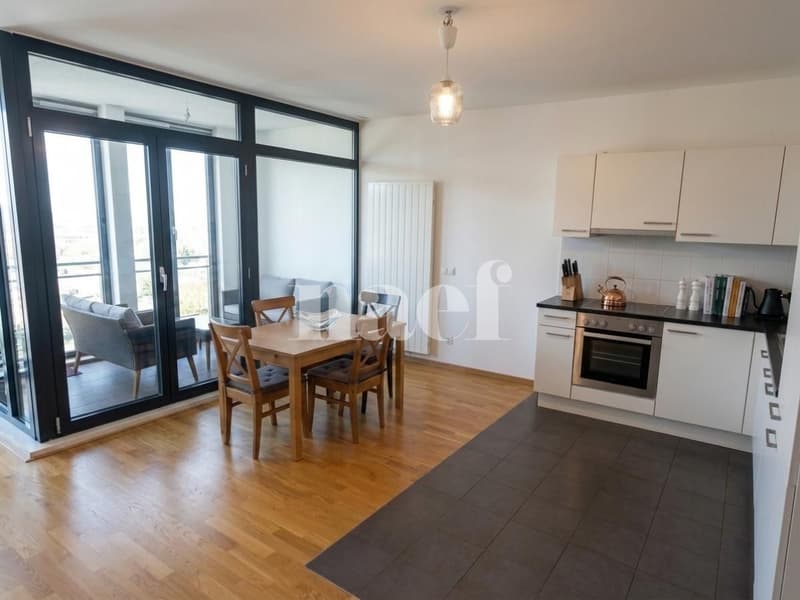 Appartement de 4.5 pièces au coeur de Genève (2)