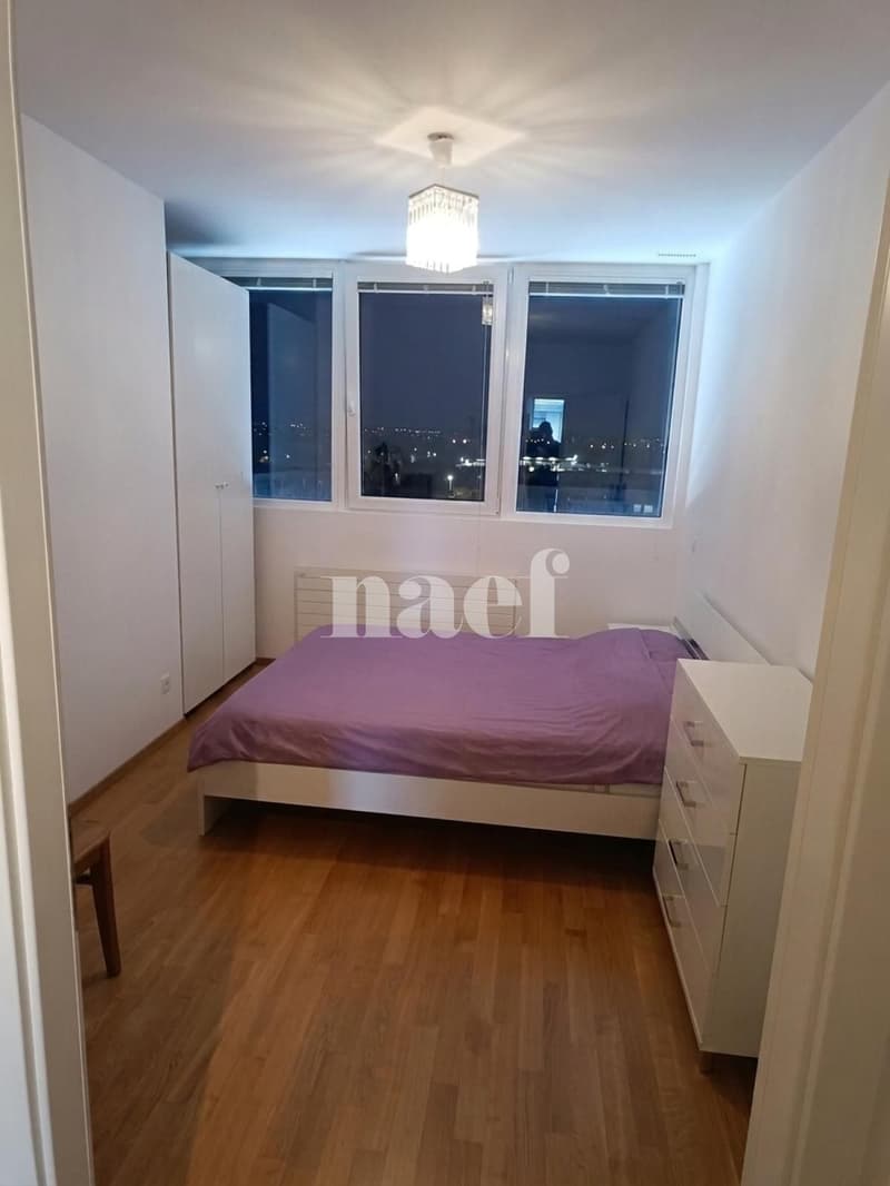 Appartement de 4.5 pièces au coeur de Genève (5)