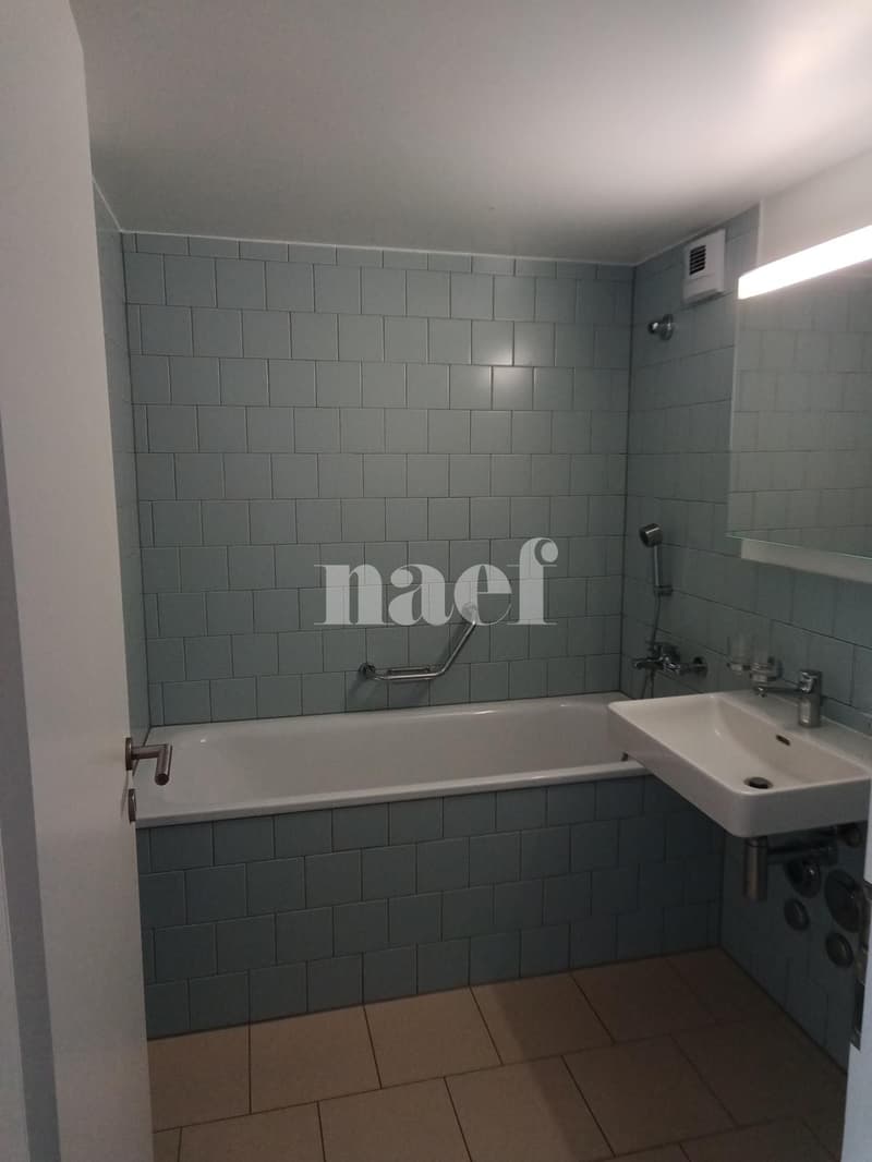 Duplex de 3 pièces près de la gare de Genève (6)