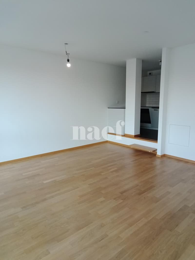 Duplex de 3 pièces près de la gare de Genève (3)
