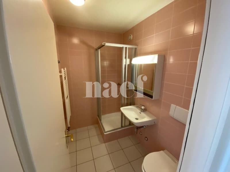 Appartement 5 pièces avec grand balcon à Carouge (9)