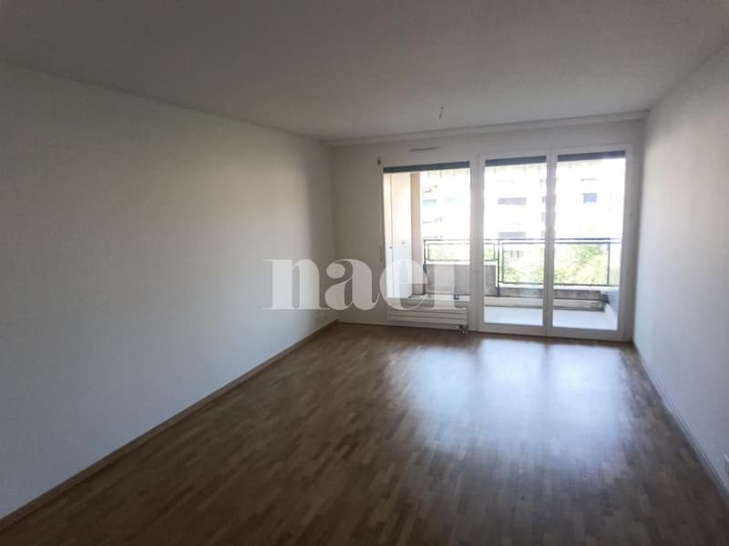 Bel appartement lumineux (4)