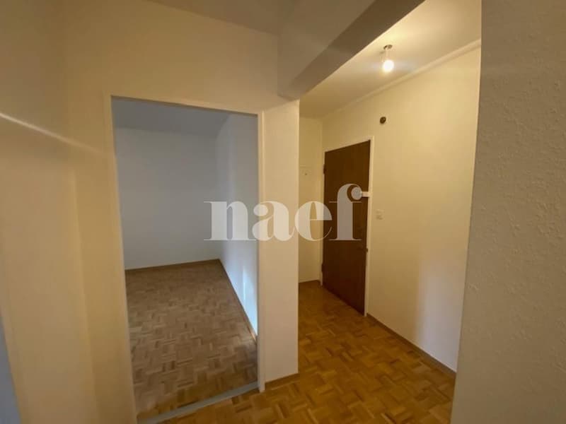 Appartement avec grande terrasse au rez-de-chaussée (2)