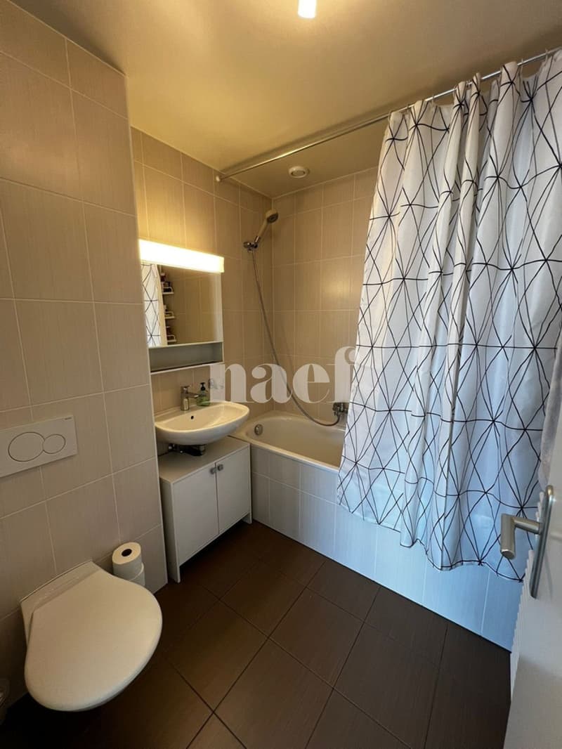 Duplex de 4.5 pièces avec vue sur le Salève (9)