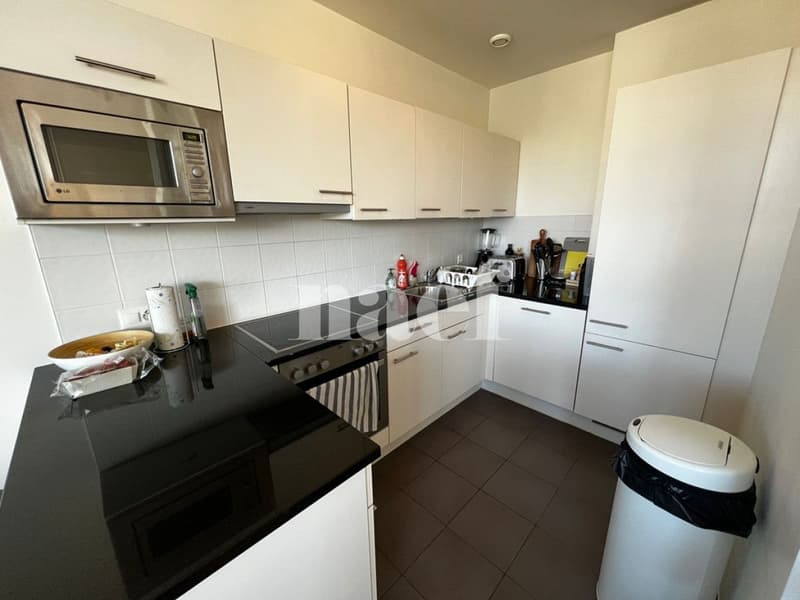 Duplex de 4.5 pièces avec vue sur le Salève (5)