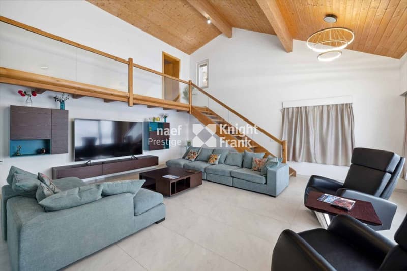 Magnifique villa de 6.5 pièces (3)
