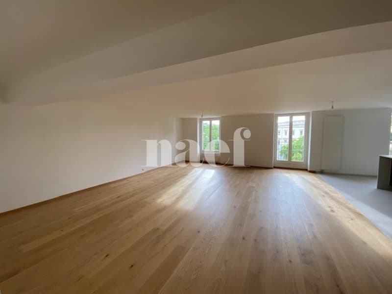 Superbe appartement de standing entièrement rénové (4)