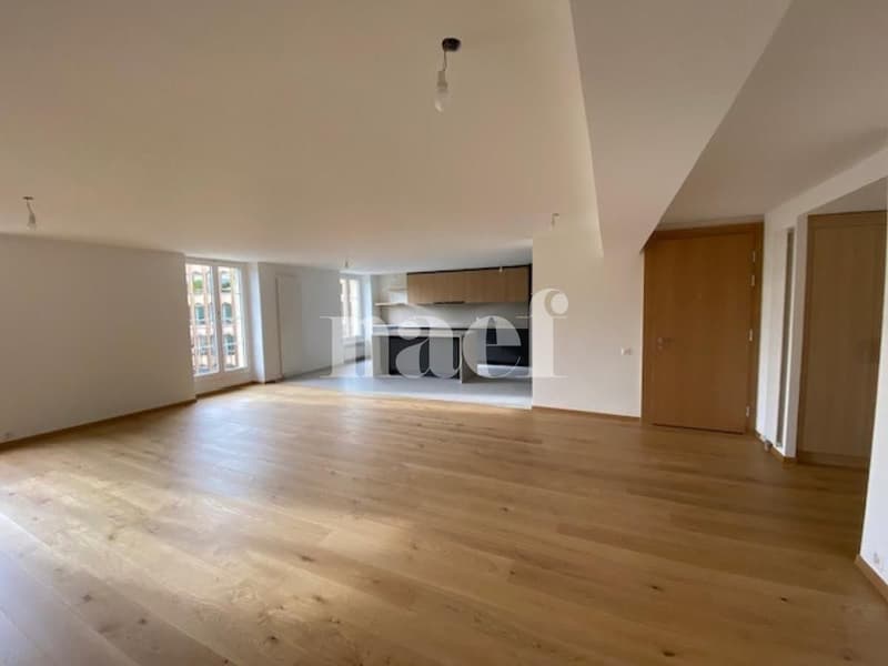 Superbe appartement de standing entièrement rénové (2)