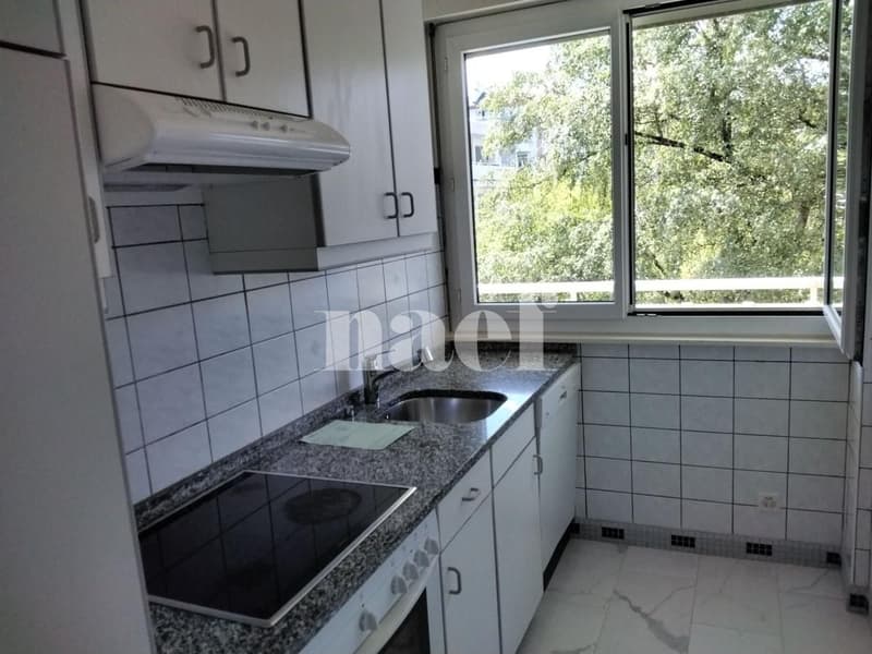Appartement 4 pièces proche du parc Bertrand (3)