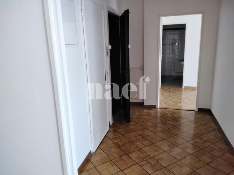 Appartement 4 pièces proche du parc Bertrand (2)