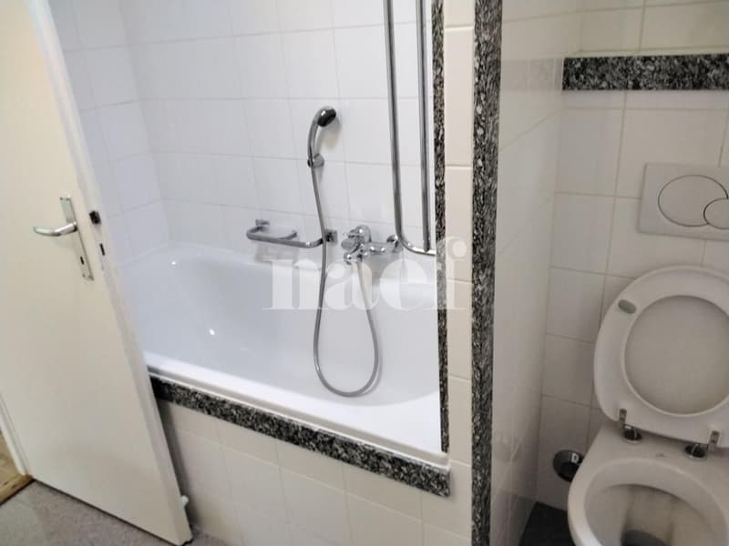 Appartement 4 pièces proche du parc Bertrand (6)