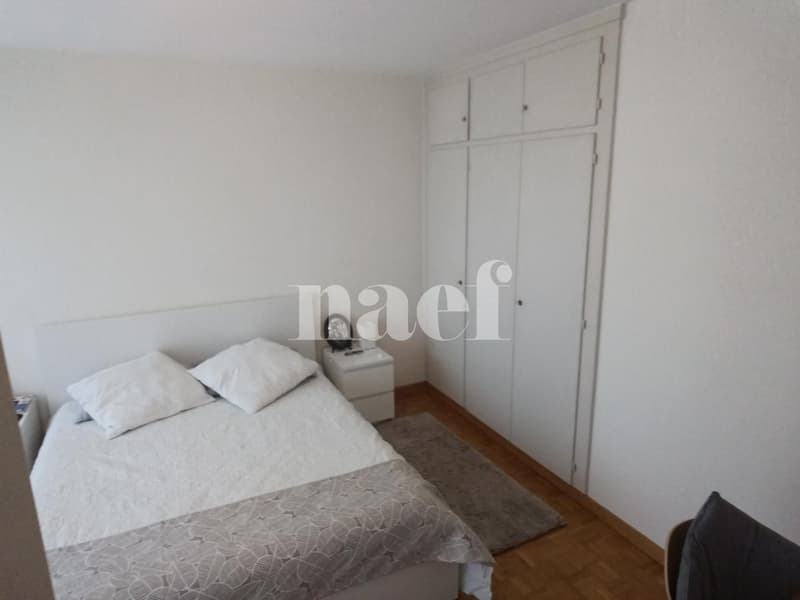 Appartement 4 pièces proche du parc Bertrand (5)