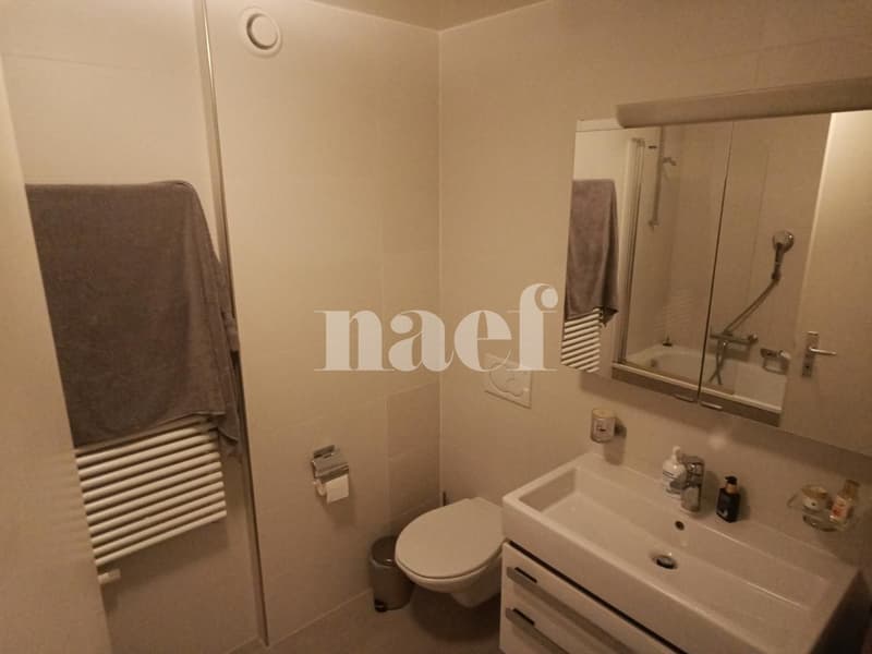 Appartement 4 pièces proche du parc Bertrand (7)