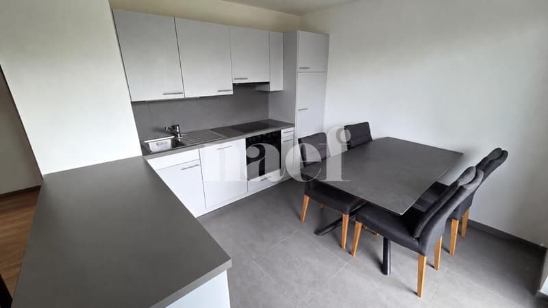 Appartement 4 pièces avec grande loggia ! (3)