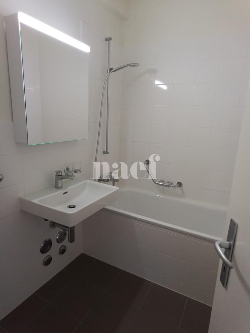 Bel appartement de 3 pièces avec balcon (5)