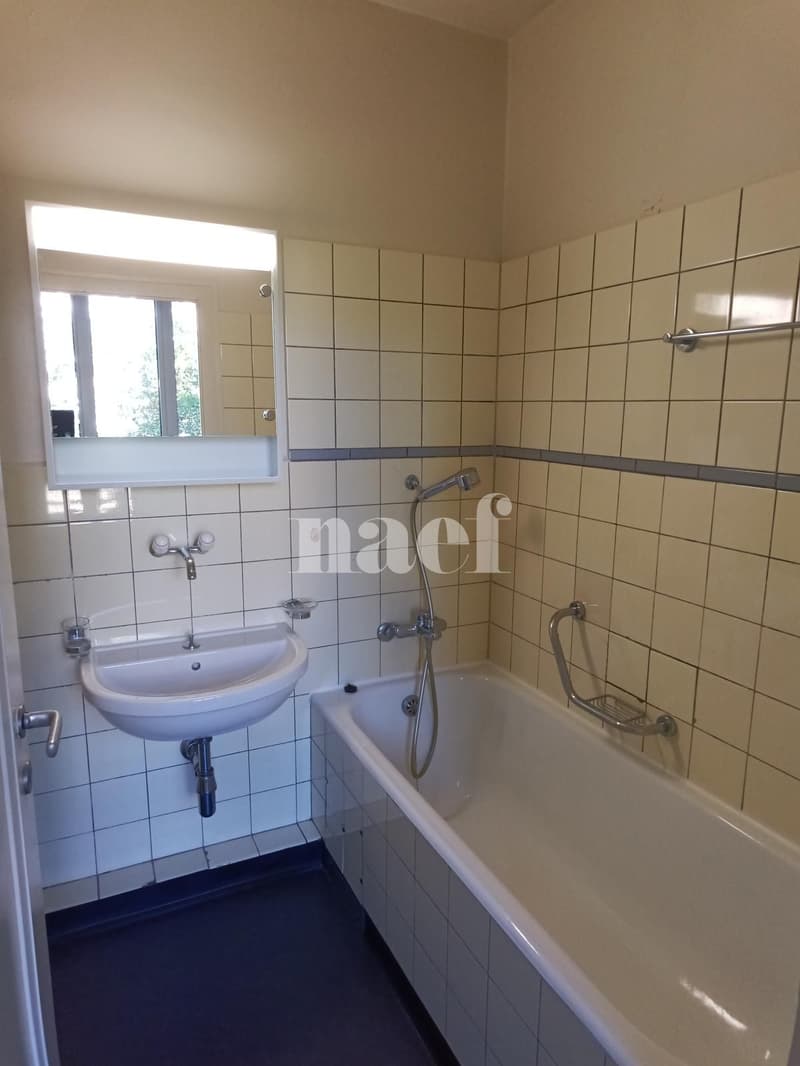 Appartement à 15 minutes à pied de la gare de Genève (5)