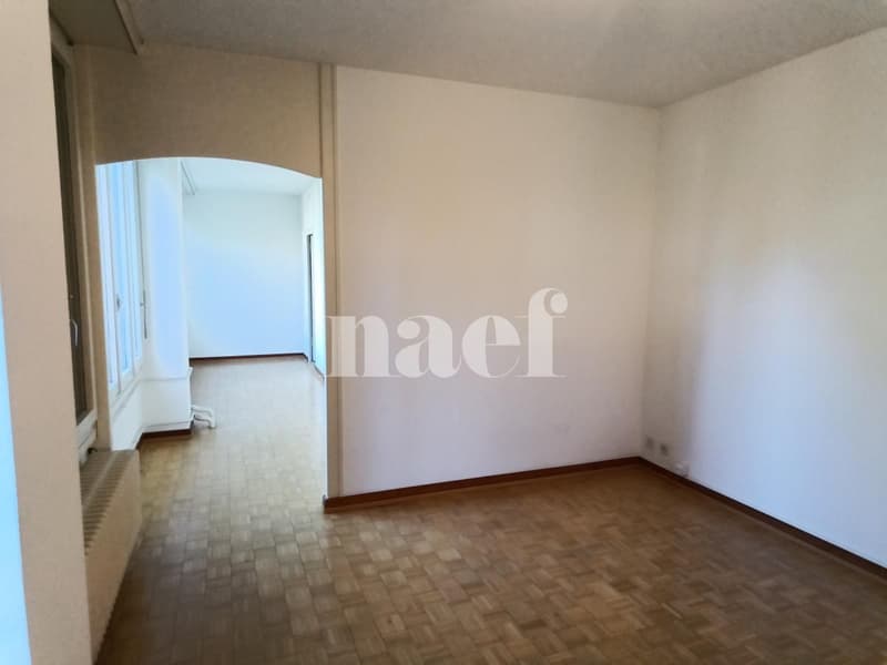 Appartement à 15 minutes à pied de la gare de Genève (3)