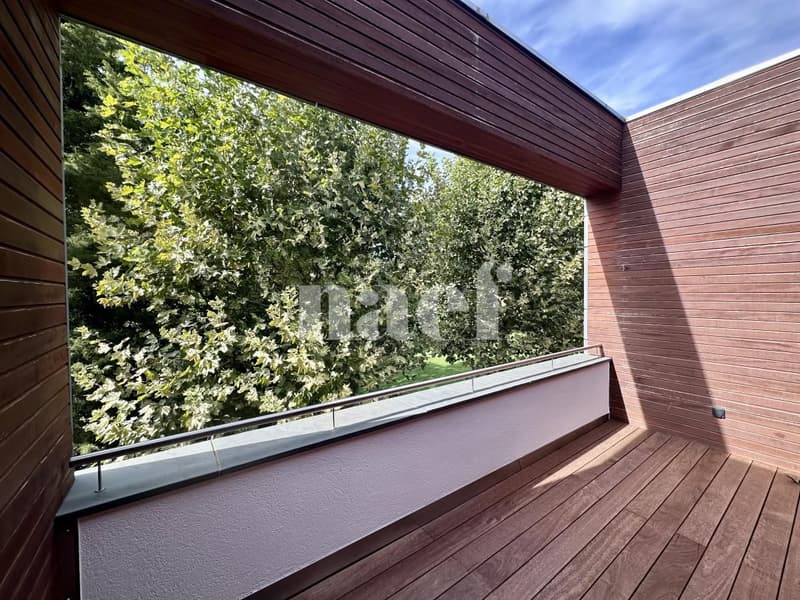 Elégant duplex au coeur de Cologny (11)