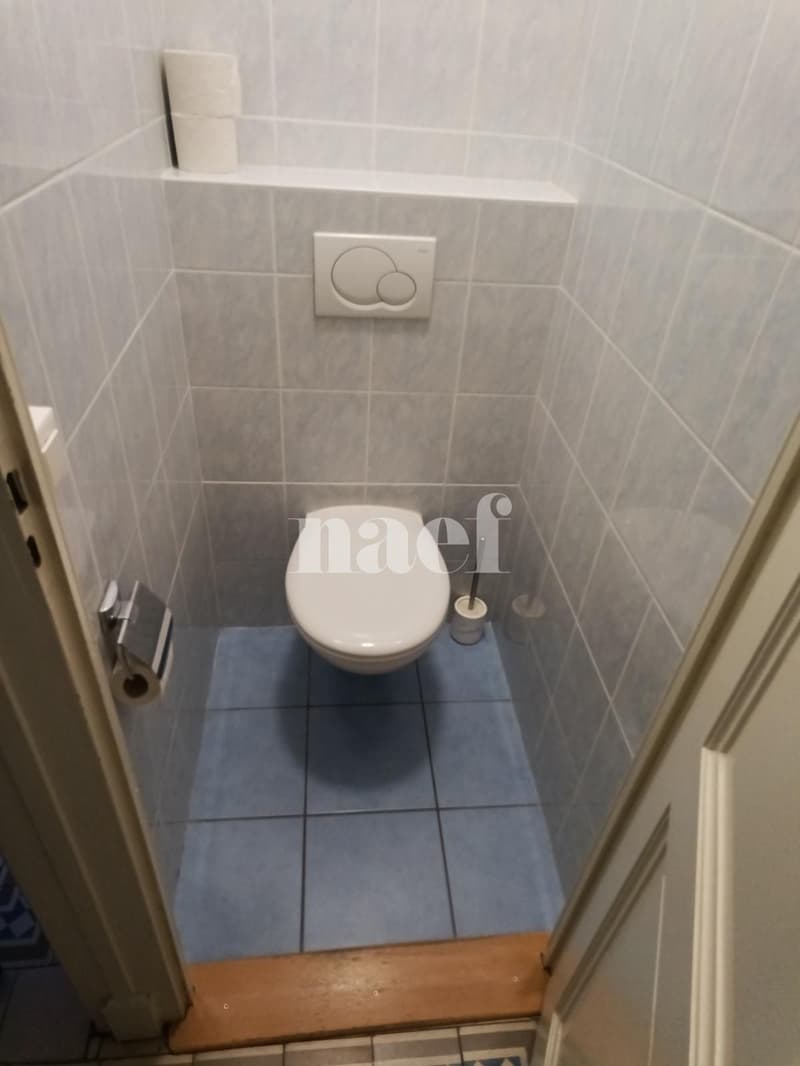 Appartement - 6.5 pièces à Champel (12)