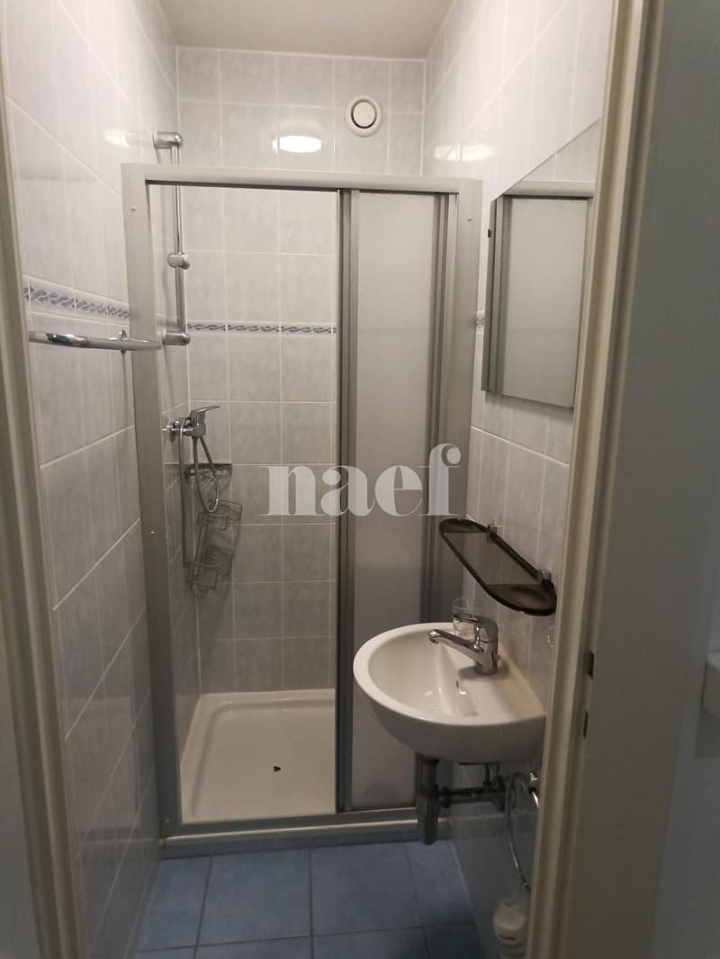 Appartement - 6.5 pièces à Champel (11)