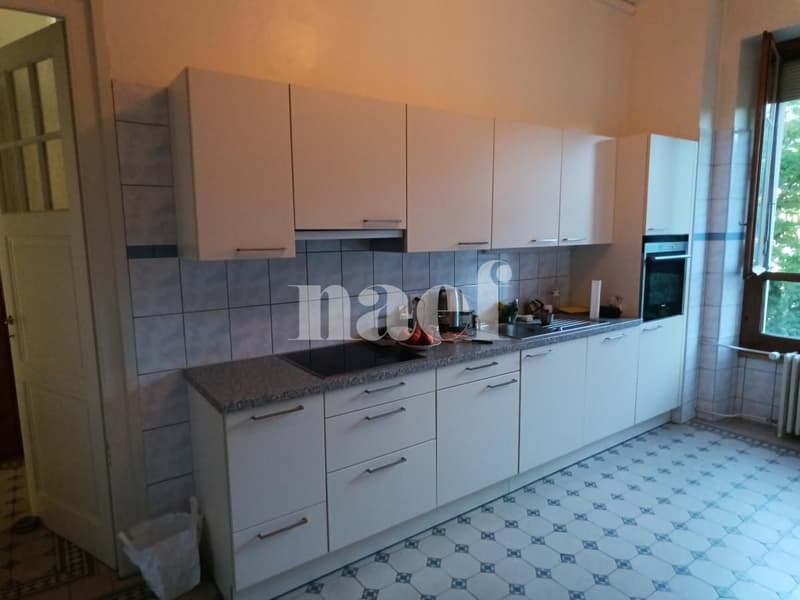 Appartement - 6.5 pièces à Champel (4)