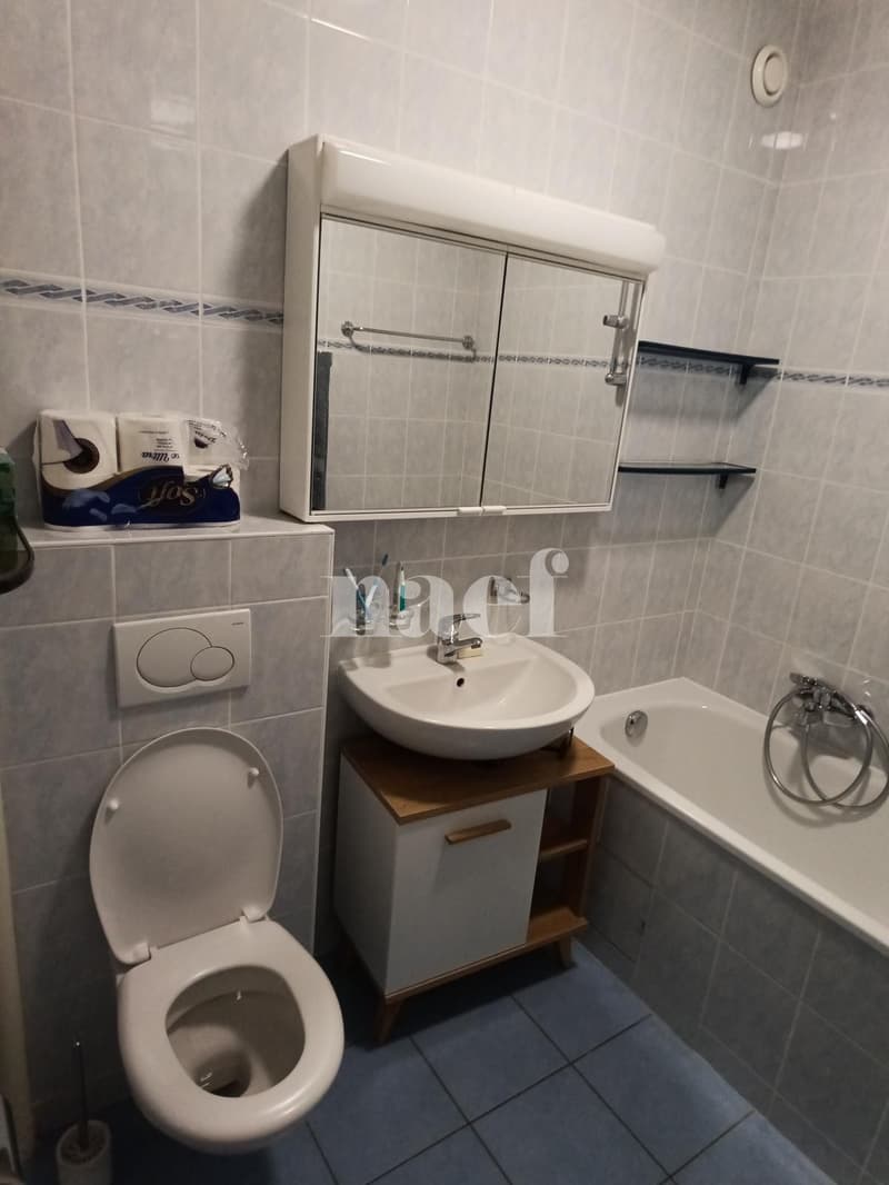 Appartement - 6.5 pièces à Champel (13)